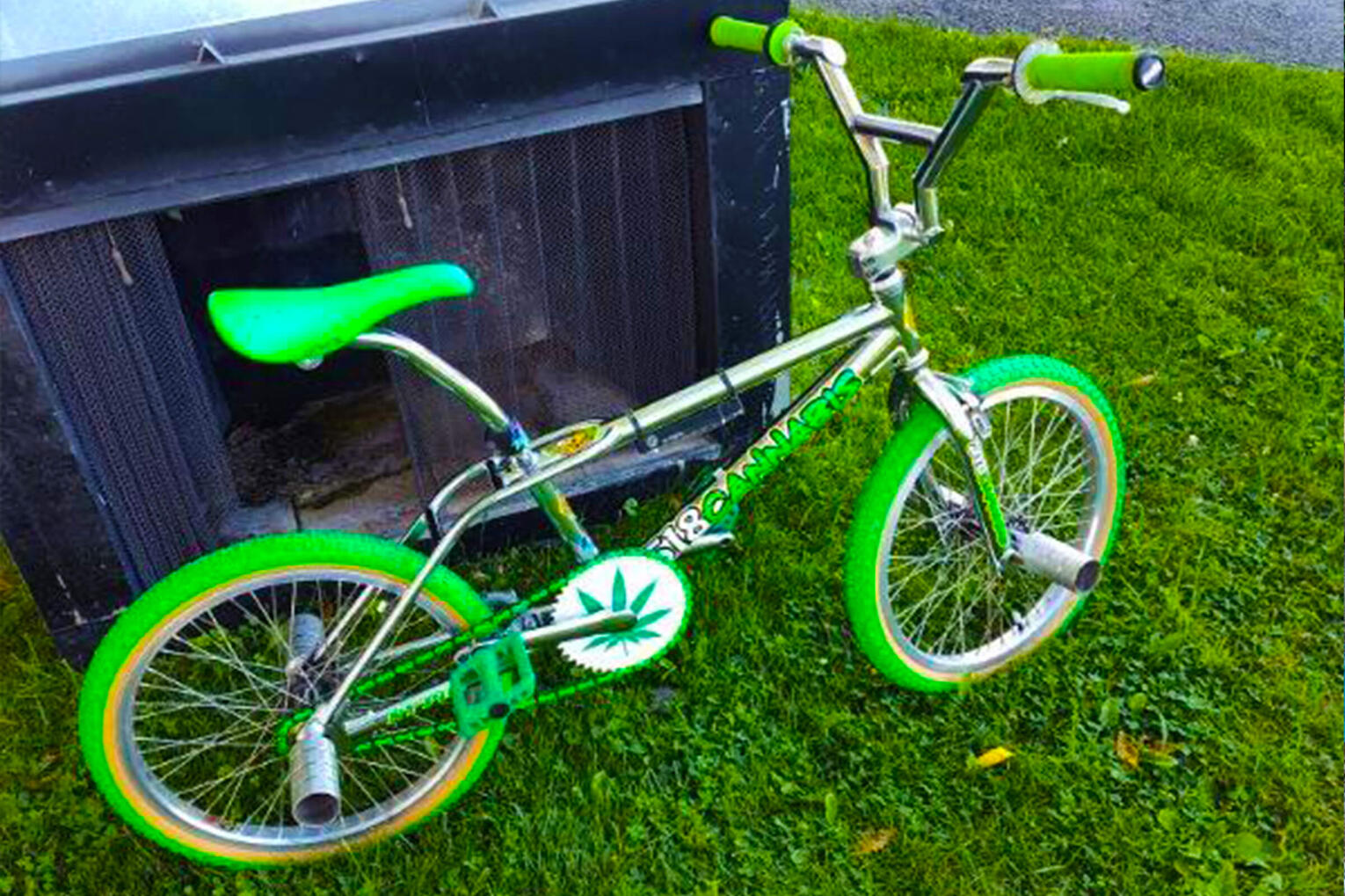 Cannabis themed BMX bike built by Wes Moore