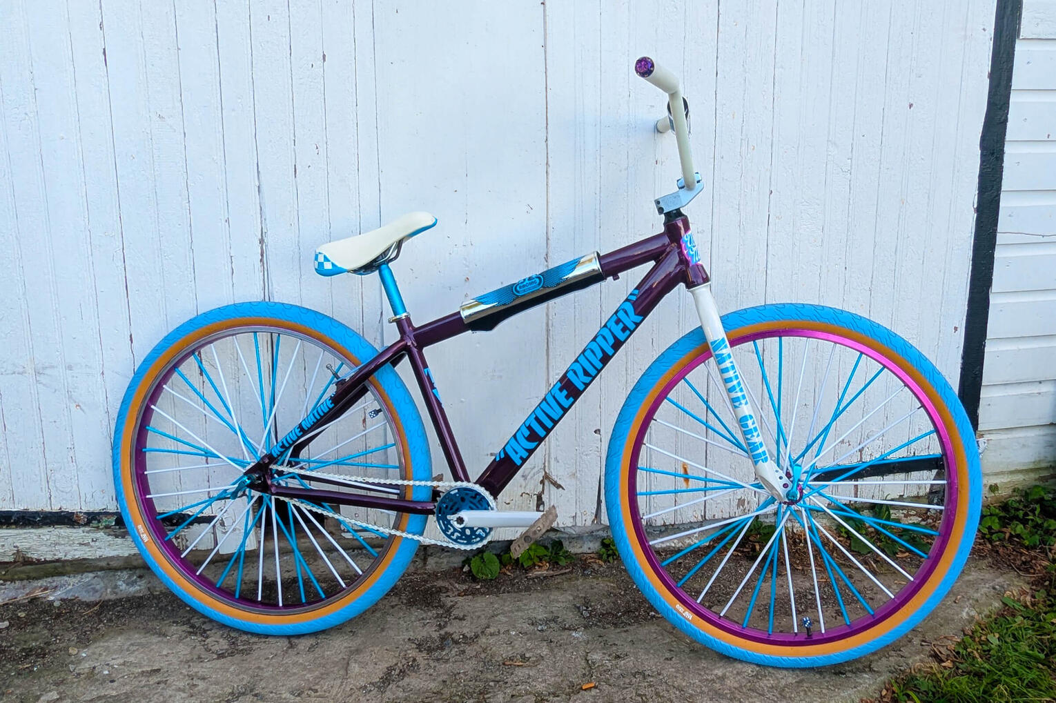 Active Native themed BMX bike built by Wes Moore